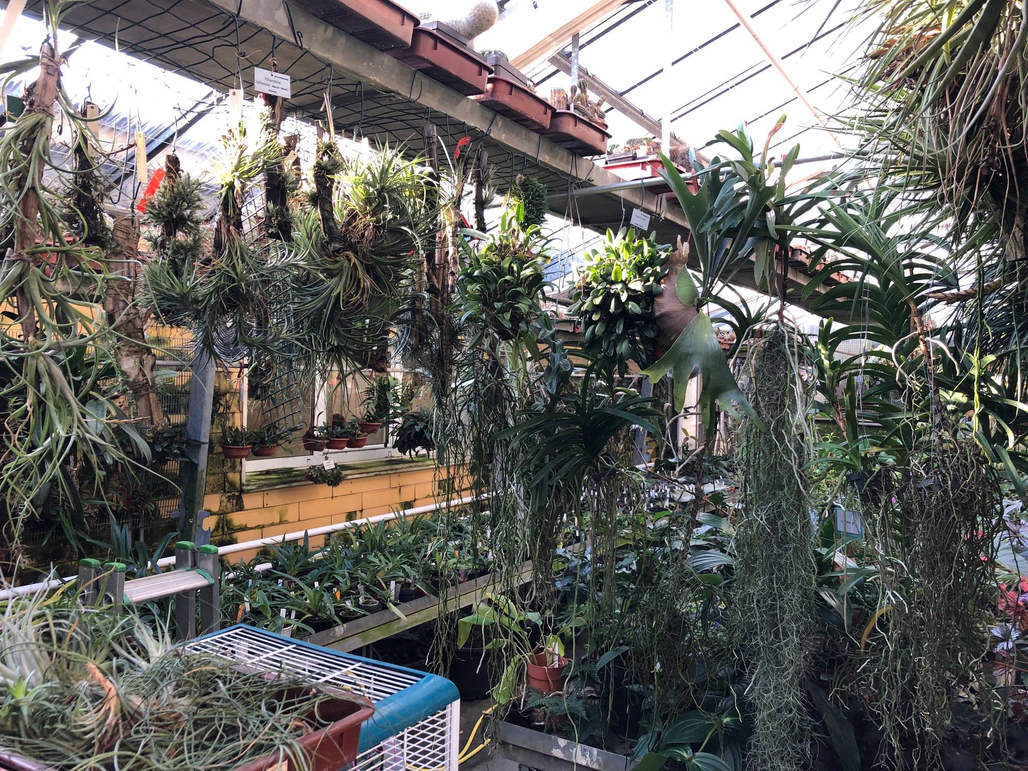 Grabmayr Fordert Hilfe Fur Den Botanischen Garten Fpo Linz